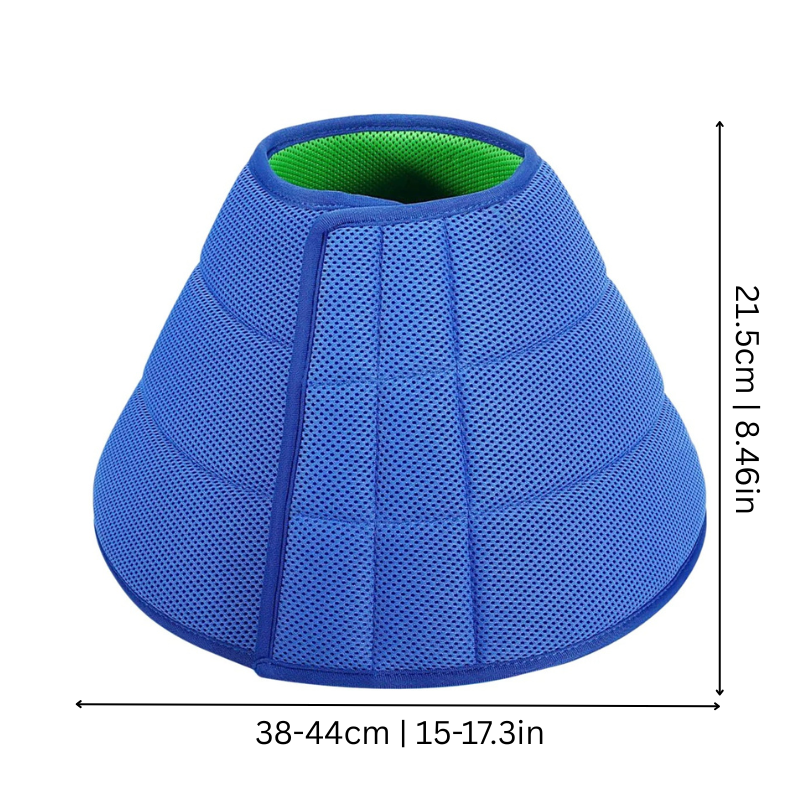 CareCone