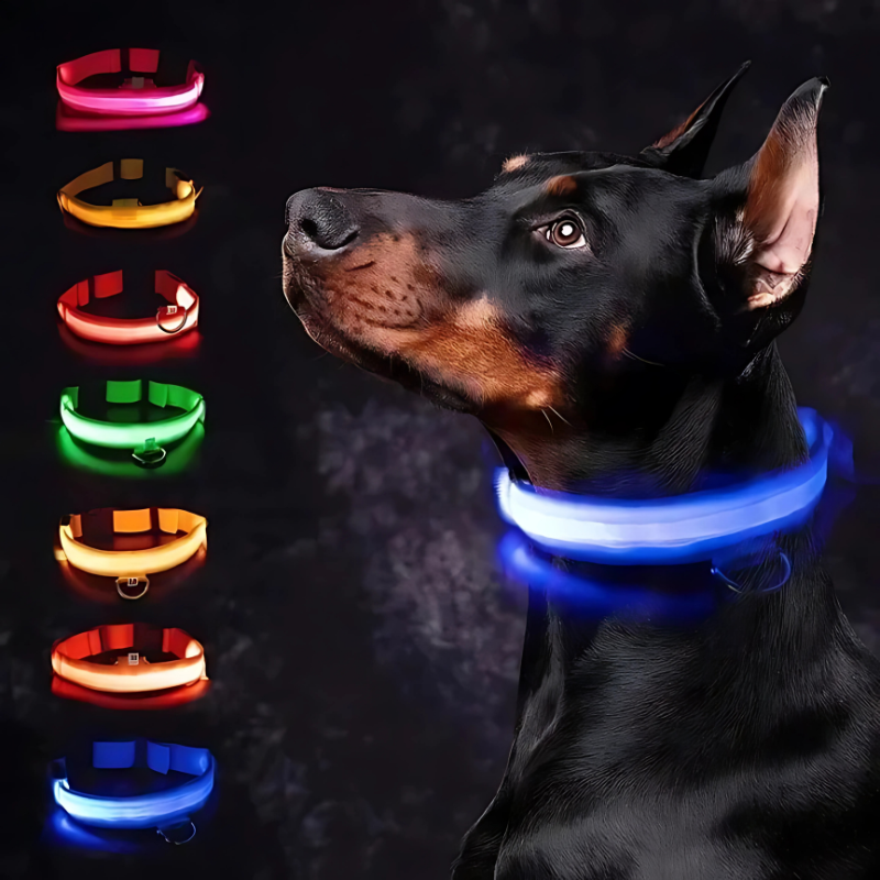 LumiPaw