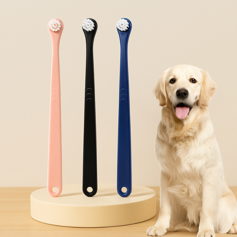 PawBright