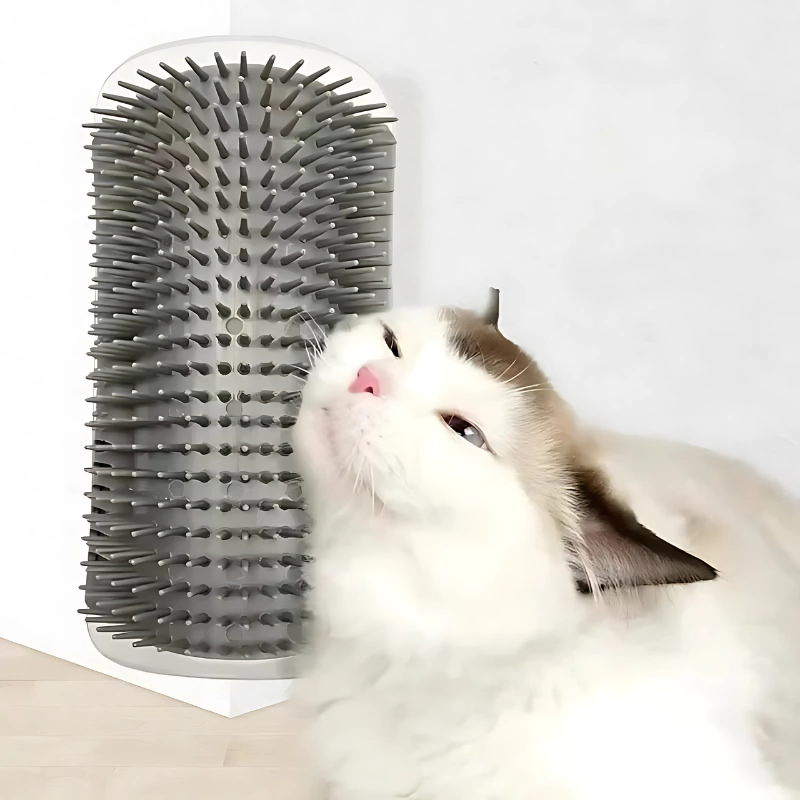 MeowMassage