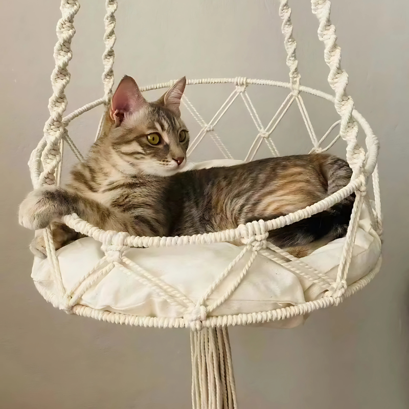 SwingTail