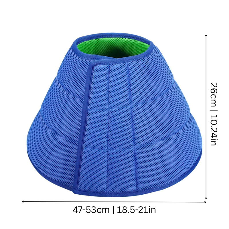 CareCone