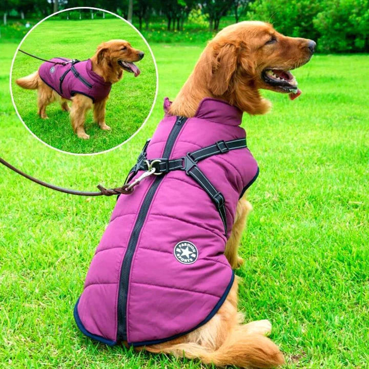 Waterproof Winter Jacket With Built-In Harness