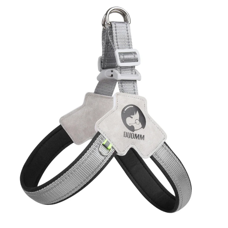 StrapSafe