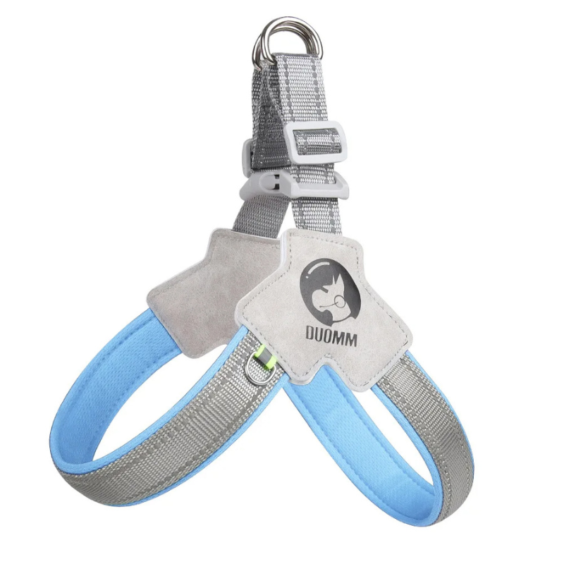 StrapSafe