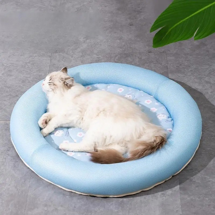FurBloom