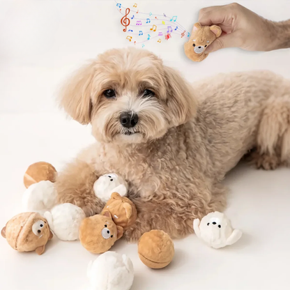 PupPop