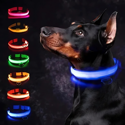 LumiPaw