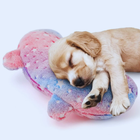 DreamCuddle
