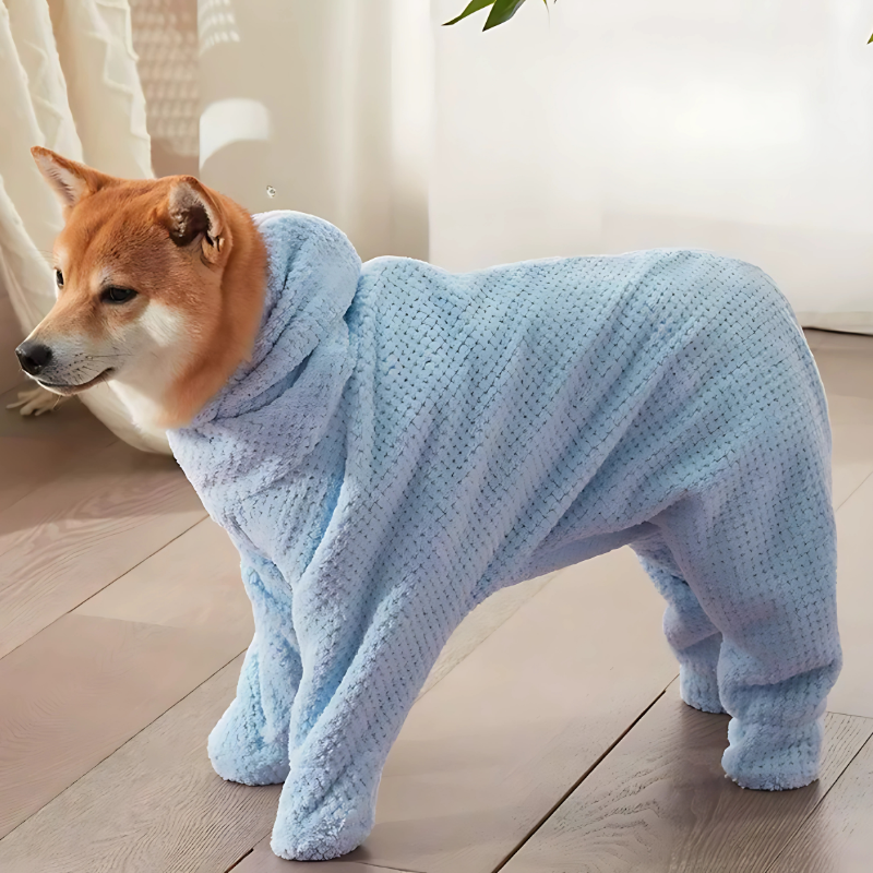 CozyCanine