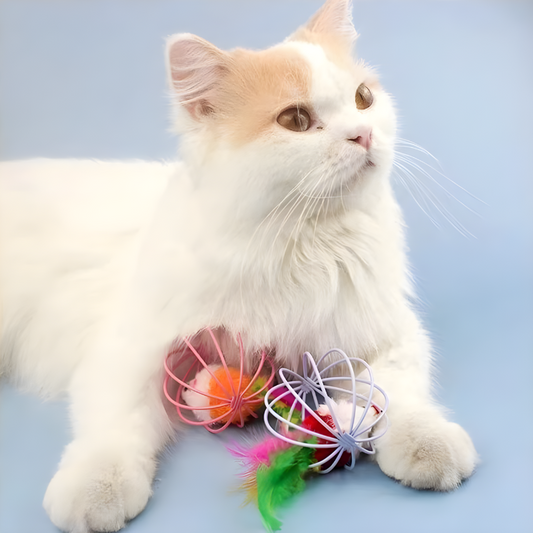 WhiskerRoll