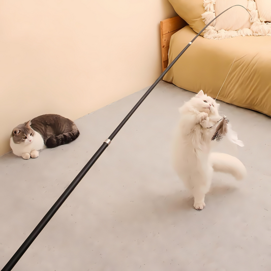 ClawJoy