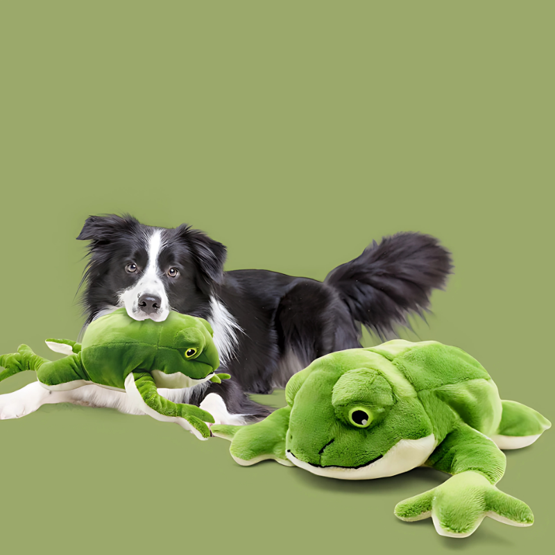 FroggyFetch