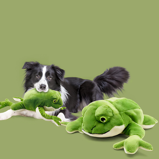 FroggyFetch