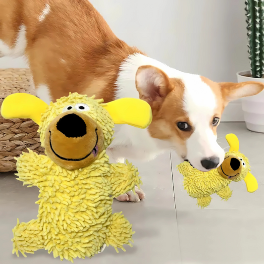 ChewBuddy
