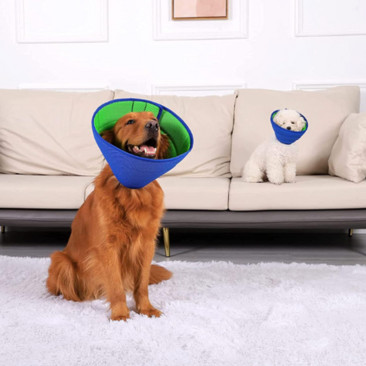 CareCone
