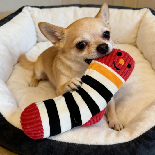SockSnout
