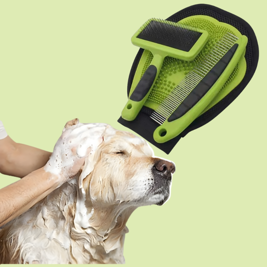 CleanCoat