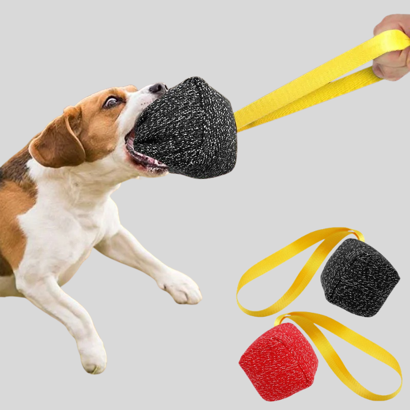 TugTrainer