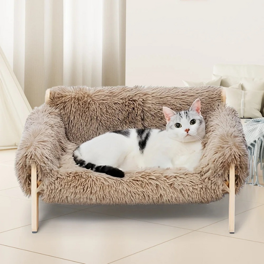 Purrniture