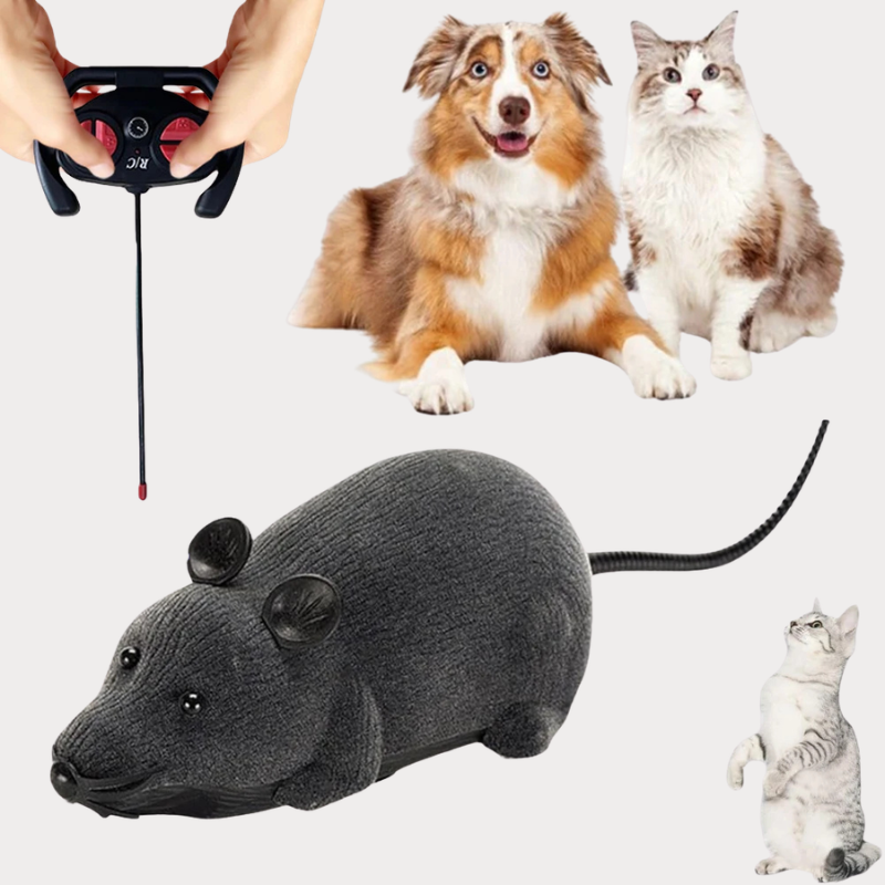 RoboMouse