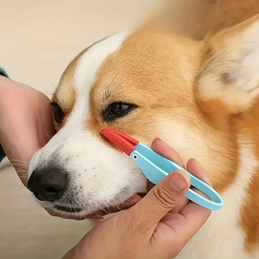 TearTidy