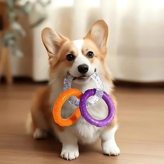 ChewLoop