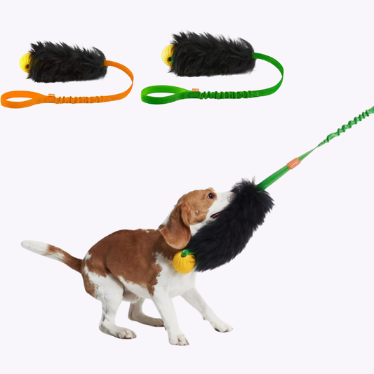 PawStrike