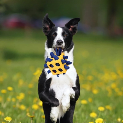 RubikPaws