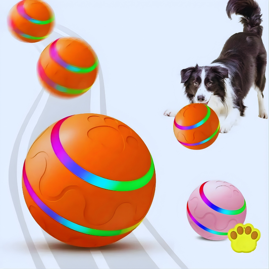 SmartPaw