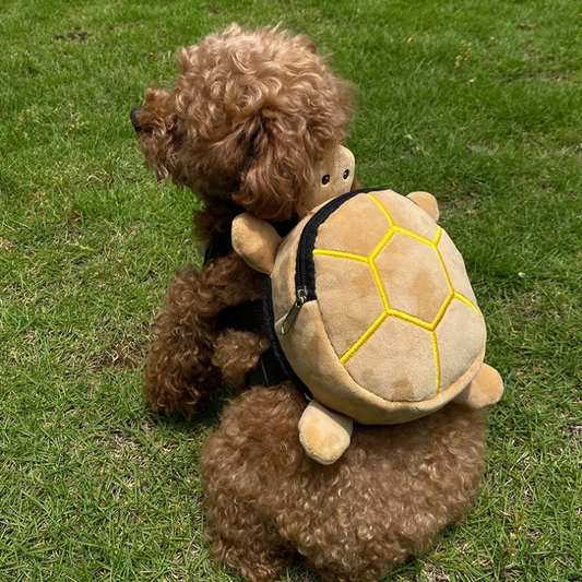 ShellPup