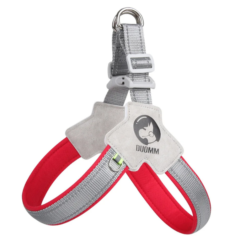StrapSafe