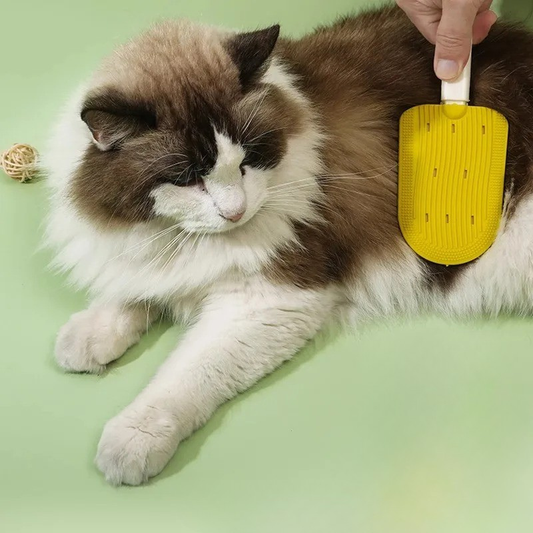 FurSundae