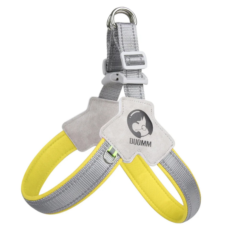 StrapSafe