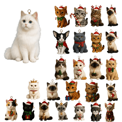 PawAdvent