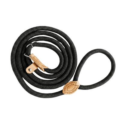 LoopLead