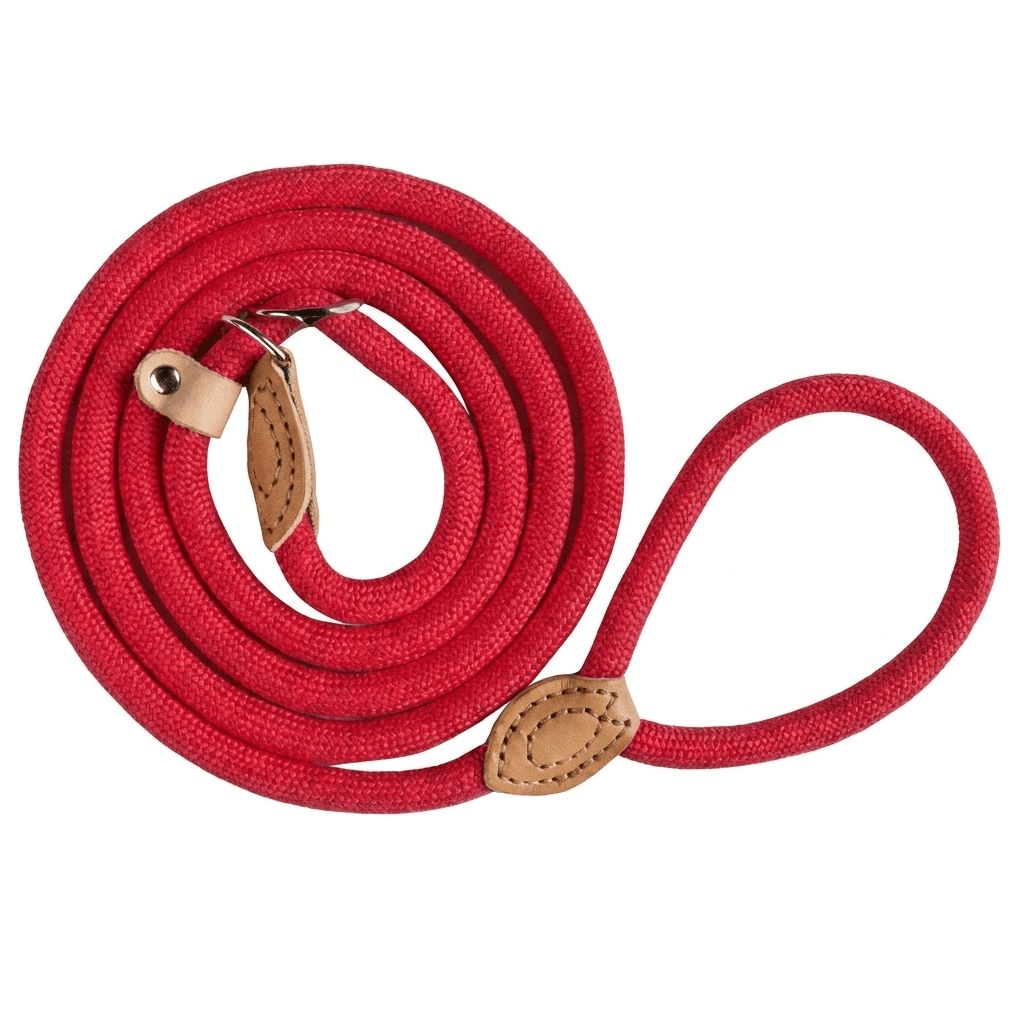 LoopLead