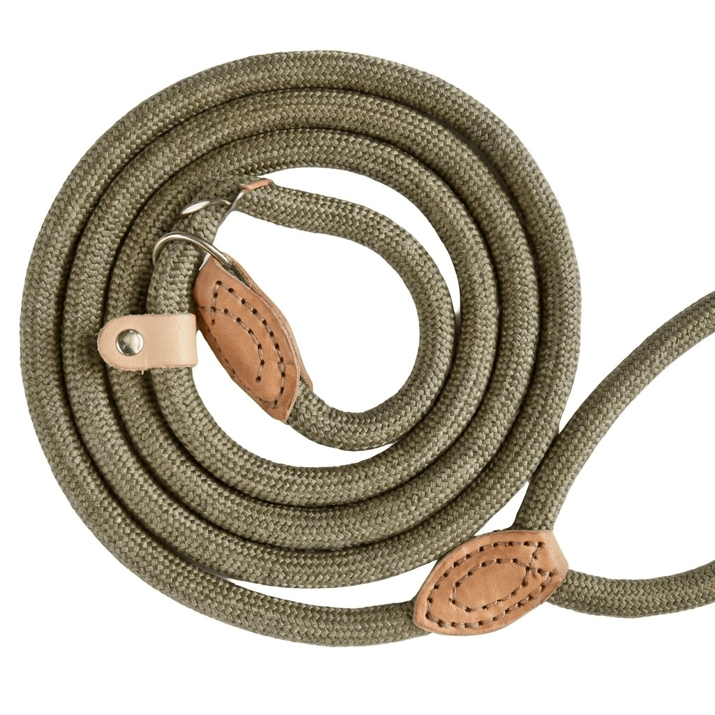 LoopLead