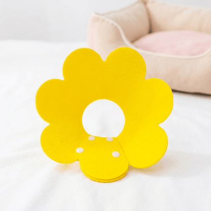 PetalCone