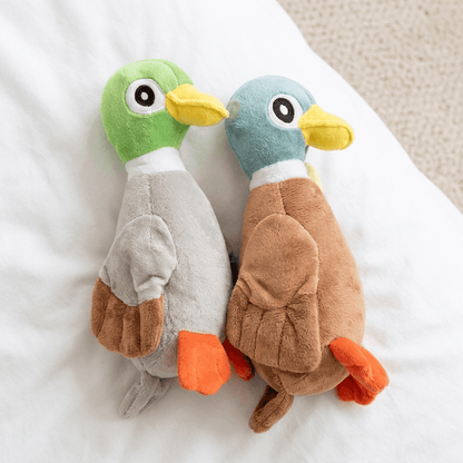 QuackChomp