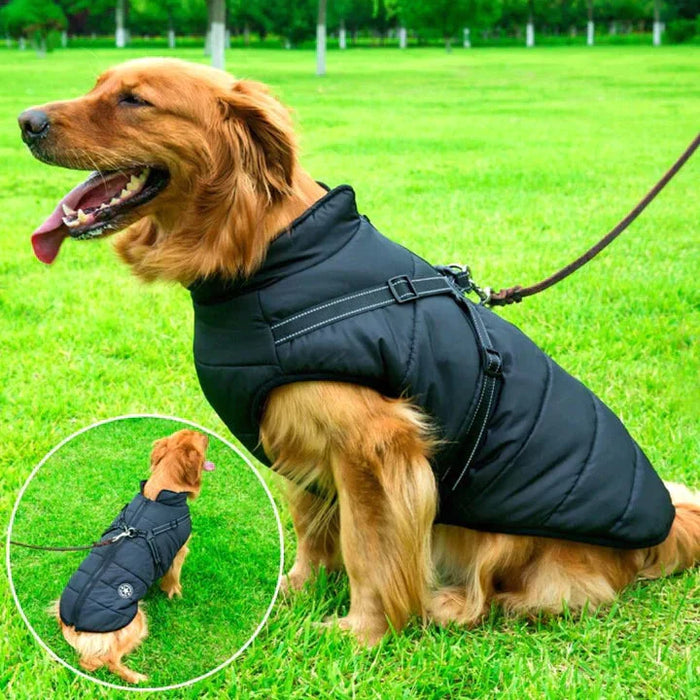 Dog jacket with built in harness sale