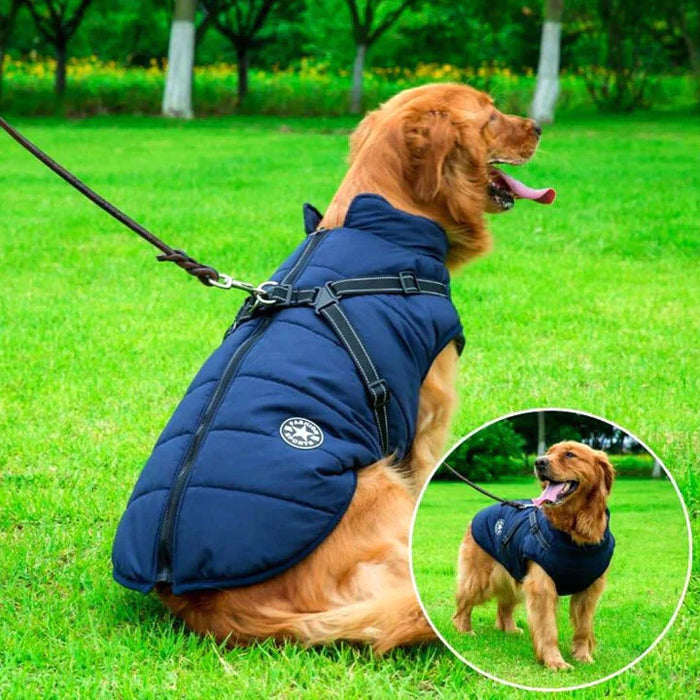 Dog jacket with built in harness sale