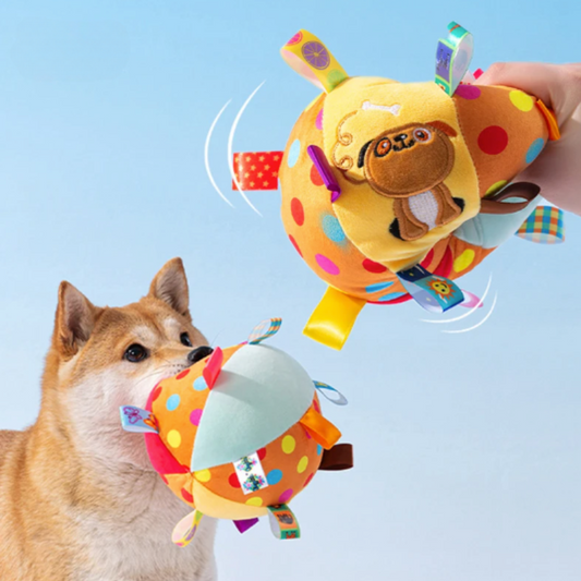 BarkBoop
