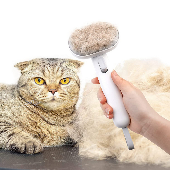 PurrfectBrush