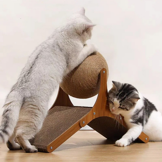 ScratchPlay