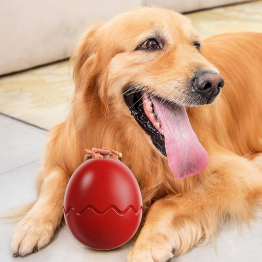 LickEgg